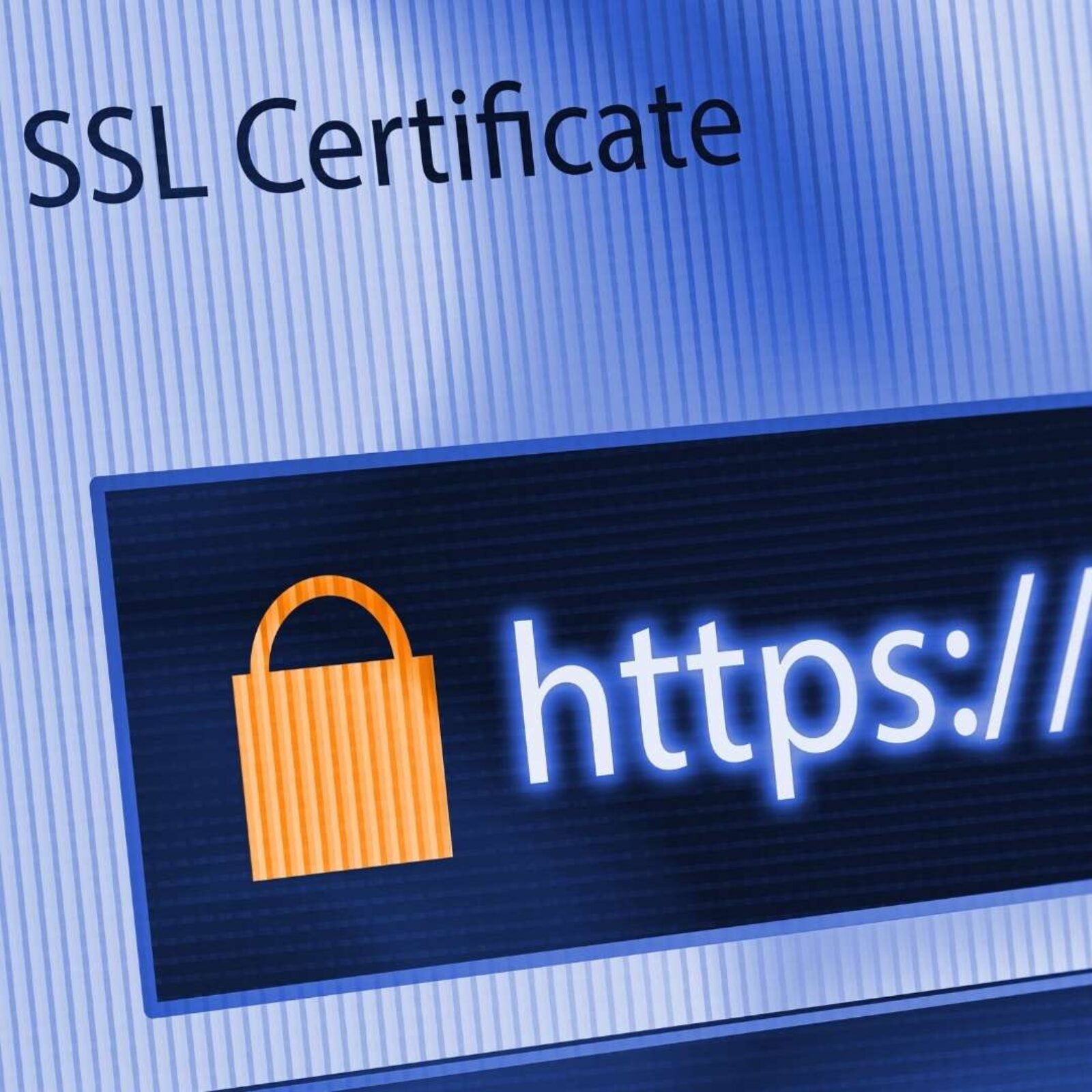 What is SSL Certification ?